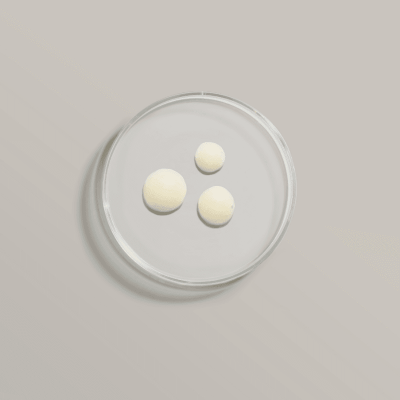 Refine Cellular tobulinimas